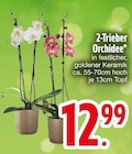 Aktuelles 2-Trieber Orchidee Angebot bei EDEKA in Regensburg ab 12,99 €