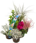 Herbstlicher Mix Angebote bei REWE Wilhelmshaven für 5,99 €