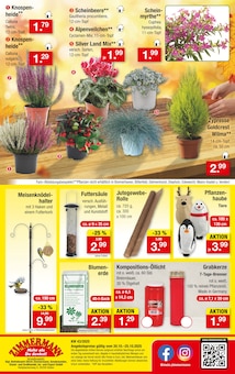USB Stick Angebot im aktuellen Zimmermann Prospekt auf Seite 10
