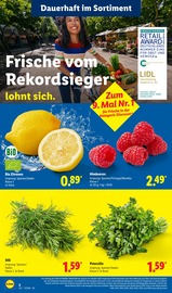 Aktueller Lidl Prospekt mit Obst, "LIDL LOHNT SICH", Seite 4