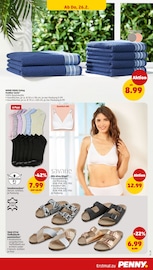 Socken im Penny Prospekt in Stade Aktueller Penny Prospekt mit Socken, "Wer günstig will, muss Penny.", Seite 33