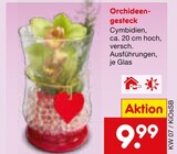 Orchideengesteck für 9,99 € bei Netto Marken-Discount im Angebot Orchideengesteck im aktuellen Netto Marken-Discount Prospekt