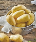 Intermarché Gaujac - Promo Pommes de terre de consommation à chair ferme Promo Pommes de terre de consommation à chair ferme à 2,35 € dans le catalogue Intermarché à Gaujac