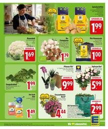 Blumen im EDEKA Prospekt "Wir lieben Lebensmittel." auf Seite 5