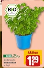 Bio Basilikum von  im aktuellen REWE Prospekt für 1,39 €