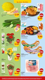 Tulpen im Penny Prospekt "Wer günstig will, muss Penny." mit 36 Seiten (Wuppertal)