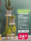 Blumenständer von KESPER im aktuellen Netto mit dem Scottie Prospekt für 24,99 €