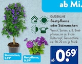 Beetpflanze oder Stämmchen im ALDI SÜD Prospekt Beetpflanze oder Stämmchen von GARDENLINE im aktuellen ALDI SÜD Prospekt für 0,69 €