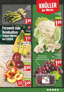 Bio Bananen im E center Prospekt "Aktuelle Angebote" mit 26 Seiten (Bonn)