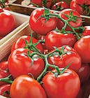 Tomate ronde en grappe à Netto dans Gonneville-la-Mallet Tomate ronde en grappe à Netto dans Gonneville-la-Mallet