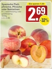 WEZ Vlotho - Spanische Plattpfirsiche, Pfirsiche oder Nektarinen Angebot im Prospekt Spanische Plattpfirsiche, Pfirsiche oder Nektarinen bei WEZ im Vlotho Prospekt für 2,69 €