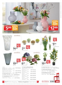 Pflanzen im XXXLutz Möbelhäuser Prospekt "STEAK-Wochen" mit 16 Seiten (Heidelberg)