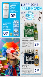 Aktueller ALDI SÜD Prospekt mit Bier, "FEIER DEN FEBRUAR ZUM ORIGINAL ALDI PREIS", Seite 34