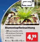 Aktuelle Blumentopf Angebote bei Thomas Philipps in Essen Aktuelles Blumentopfbeleuchtung Angebot bei Thomas Philipps in Essen ab 4,99 €