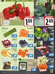 Pflanzen im EDEKA Prospekt in Gießen Aktueller EDEKA Prospekt mit Pflanzen, "Aktuelle Angebote", Seite 9