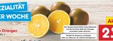 Schoko Orangen  im aktuellen Netto Marken-Discount Prospekt für 2,99 €