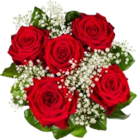 Premium-Rosenstrauß im Angebot bei Kaufland in Leonberg Premium-Rosenstrauß Angebote bei Kaufland Leonberg für 5,99 €