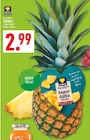 Super Süße Ananas Angebote von EDEKA Herzstücke bei Marktkauf Moers für 2,99 €