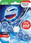 WC Stein Power 5 Angebote von Domestos bei EDEKA Schwerin für 1,29 €