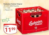 Budvar Original im aktuellen Prospekt bei GLOBUS in Broderstorf