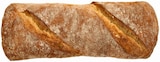 Ciabatta² Mediterranes Weizenbrot im Angebot bei REWE in Potsdam Ciabatta² Mediterranes Weizenbrot Angebote von Brot & Mehr bei REWE Potsdam für 0,79 €