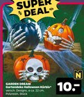 Halloween Kürbis im Angebot bei Netto mit dem Scottie in Neumünster Halloween Kürbis Angebote von Garden Dream bei Netto mit dem Scottie Neumünster für 10,00 €
