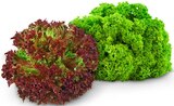Bunte Salate im Angebot bei REWE in Weinheim Bunte Salate Angebote bei REWE Weinheim für 0,89 €