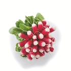 Promo Radis à 1,60 € dans le catalogue Supermarchés Match à Thaon-les-Vosges