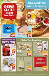 Der aktuelle REWE Prospekt Dein Markt