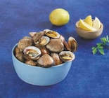 Amandes de mer en promo chez U Express Limoges à 1,95 €