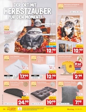 Ähnliche Kunstrasen Angebote im Prospekt "Aktuelle Angebote" von Netto Marken-Discount in Bad Homburg Ähnliche Angebote wie Kunstrasen im Prospekt "Aktuelle Angebote" auf Seite 26 von Netto Marken-Discount in Bad Homburg