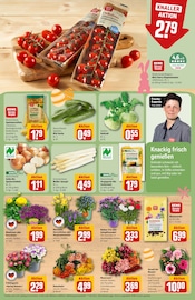 Blumenerde im REWE Prospekt in Ettlingen Aktueller REWE Prospekt mit Blumenerde, "Dein Markt", Seite 9