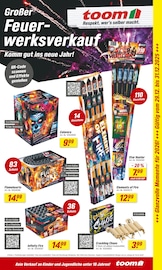 Aktueller toom Baumarkt Baumärkte Prospekt in Rheinfelden und Umgebung, "Der toom Gutschein-Tag am Black Friday" mit 2 Seiten, 29.12.2025 - 31.12.2025