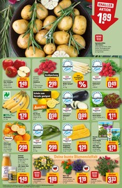 Ähnliche Angebote wie Weihnachtsstern im Prospekt "Dein Markt" auf Seite 10 von REWE in Memmingen