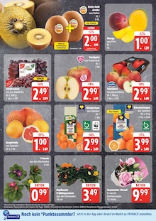 Gartenpflanzen Angebot im aktuellen EDEKA Prospekt auf Seite 8