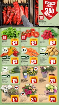 Tomaten im aktuellen REWE Prospekt (Göttingen) Tomaten im REWE Prospekt "Dein Markt" mit 18 Seiten (Göttingen)