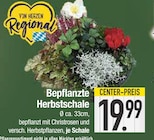 Bepflanzte Herbstschale Angebote bei EDEKA Ingolstadt für 19,99 €