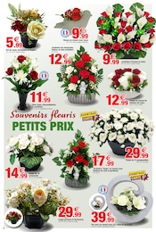 Promos Hortensia dans le catalogue "Halloween & Fleurs de Toussaint" de Bazarland Hortensia en promo dans le catalogue Bazarland à la page 10
