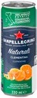 Fruchtsaftgetränk Angebote von SANPELLEGRINO bei Kaufland Hemer für 0,89 €