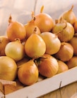 Promo Oignon jaune à 2,49 € dans le catalogue Intermarché Super à Villeneuve-Loubet