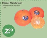 Flieger Mandarinen von  im aktuellen V-Markt Prospekt für 2,99 €