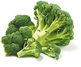 Netto mit dem Scottie Lychen - Broccoli Angebot im Prospekt Broccoli bei Netto mit dem Scottie im Lychen Prospekt für 1,19 €
