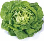 Kopfsalat Angebot in Trierweiler Kopfsalat im aktuellen Prospekt bei EDEKA in Trierweiler