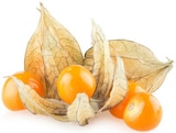 Physalis im aktuellen REWE Prospekt