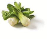 Pak Choi bei Lidl im Henstedt-Ulzburg Prospekt für 0,99 €