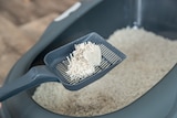 Tofu-Klumpstreu bei Profi Ruhl im Prospekt "" für 6,99 €