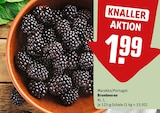 Brombeeren im Angebot bei REWE in Leipzig Brombeeren Angebote bei REWE Leipzig für 1,99 €