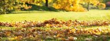Globus-Baumarkt Losheim - Herbst- und Nachsaatrasen Angebot im Prospekt Herbst- und Nachsaatrasen bei Globus-Baumarkt im Losheim Prospekt für 6,99 €