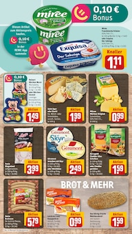 Käse im aktuellen REWE Prospekt (Dresden) Käse im REWE Prospekt "Dein Markt" mit 18 Seiten (Dresden)