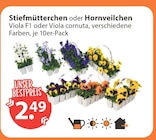 V-Markt Günzburg Prospekt mit  im Angebot für 2,49 €